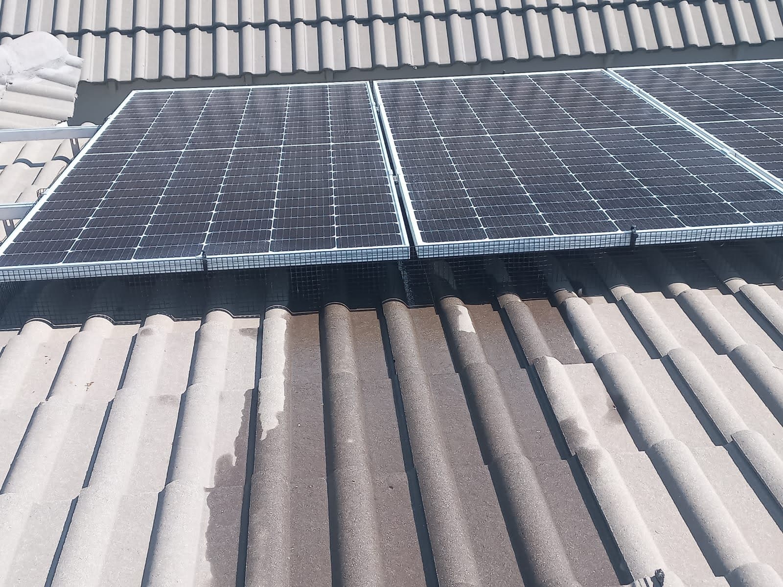 Bird-proof mesh installed neatly around the edge of solar panels